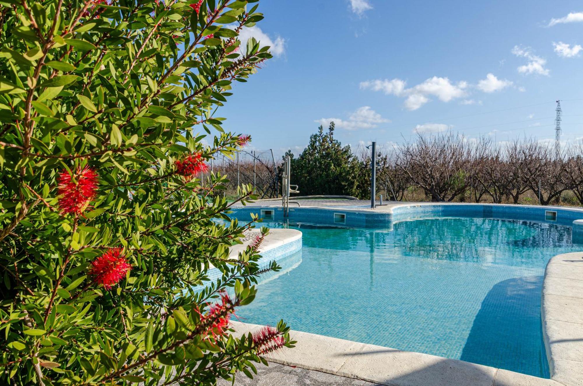 El Limonar De Mallorca - Agroturismo Ballerics Dış mekan fotoğraf